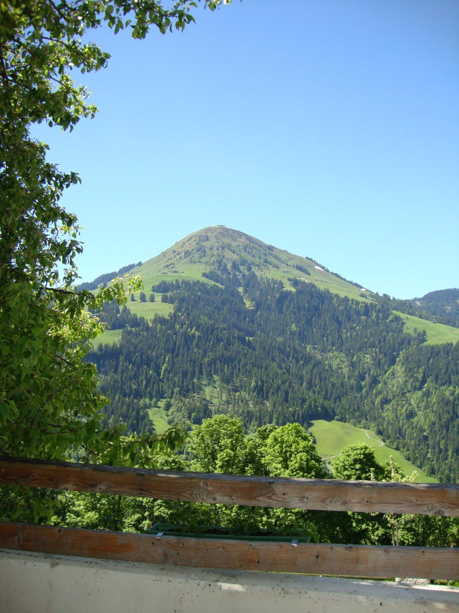Alpengasthof Gruberhof Söll Zewnętrze zdjęcie